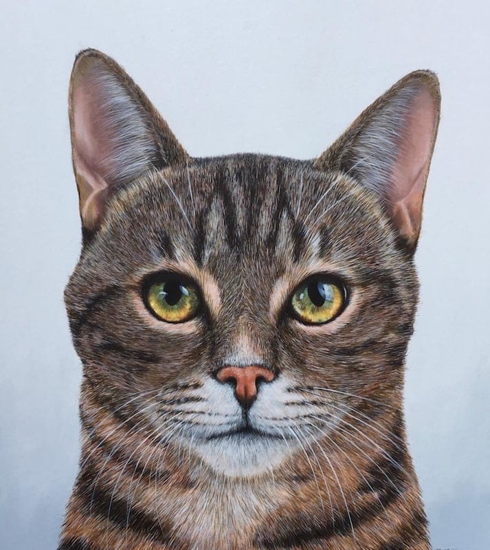 Beatrice by Artist Jo Gray, Acrylic on paper