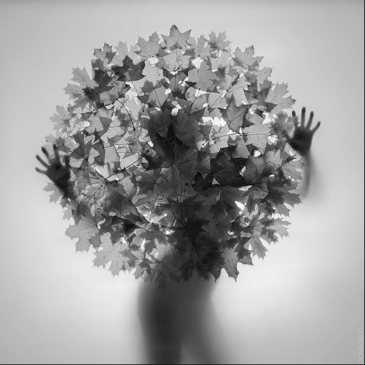 No titled Nr.#30 / Shadow by Dionis Solo, Photograph on aluminium, 2017